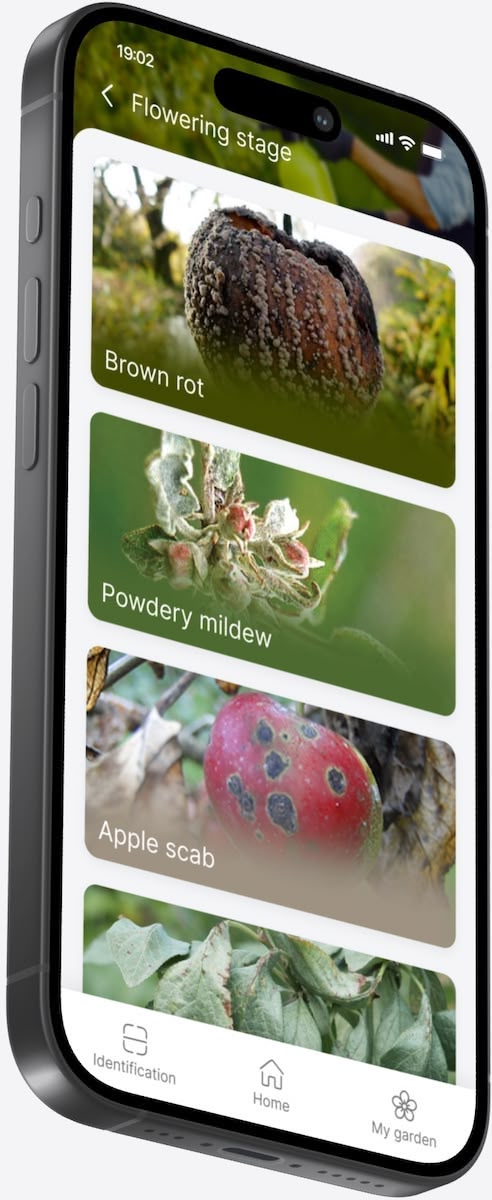 Fertilizer calculator