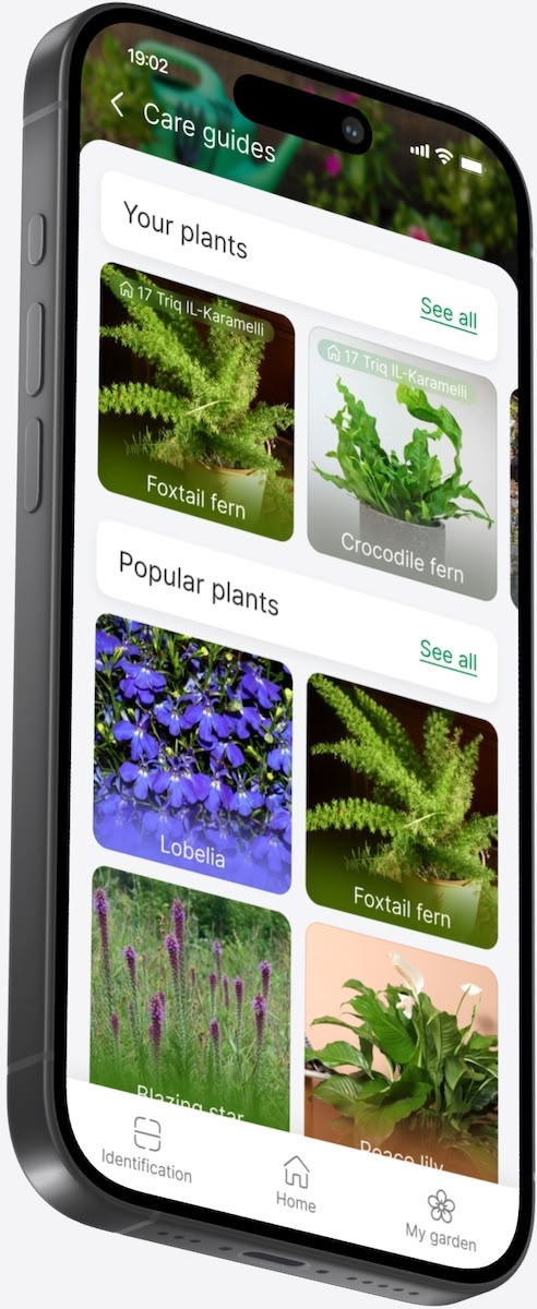 Fertilizer calculator